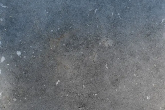 Kasino Coins Game Tuki